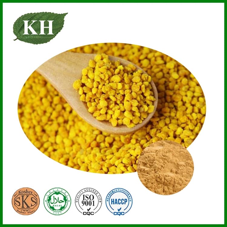 High Quality Organic Fresh 100% Natural Bee Pollen Protein