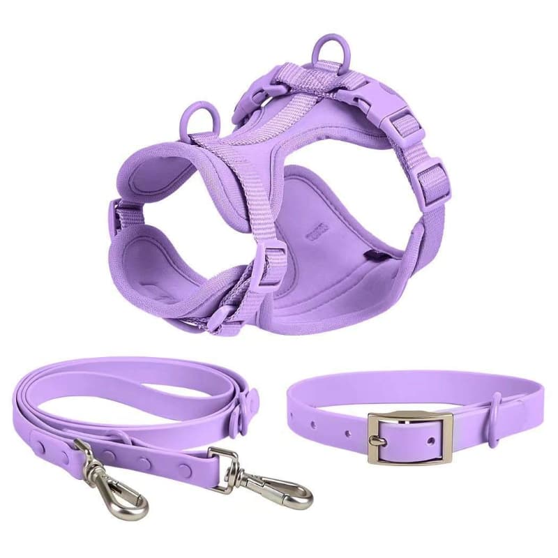 Custom Dog Harness Set Dog Leash Adjustable PVC Pet Walking Harness Set