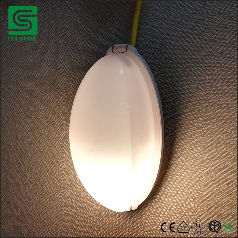 Waterproof Porcelain/Ceramic Sauna Light for Sauna Room