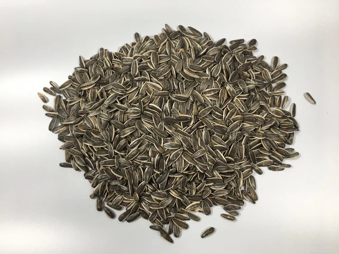 Large Size Black Sunflower Seeds New Crop Sunflower Seed Kernel From China