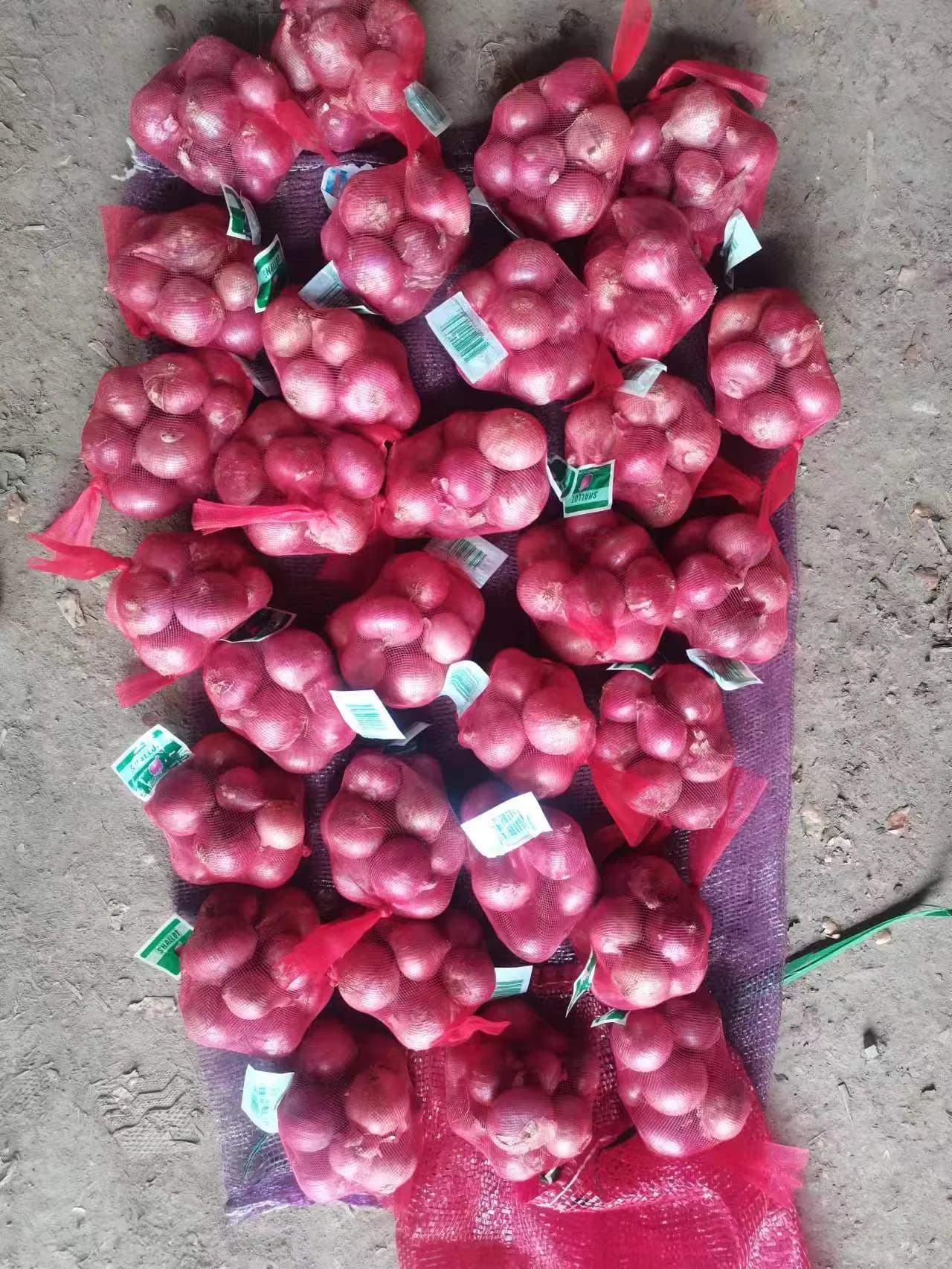 100% Fresh Onions Size 5cm 7cm 8cm 9cm Low Price Wholesale Chinese Fresh Yellow Red Onion 20kg Mesh Bag