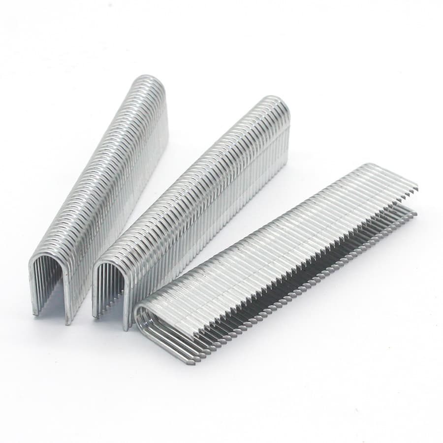 Galvanized Pneumatic Staple (BCS31P) as Joiners