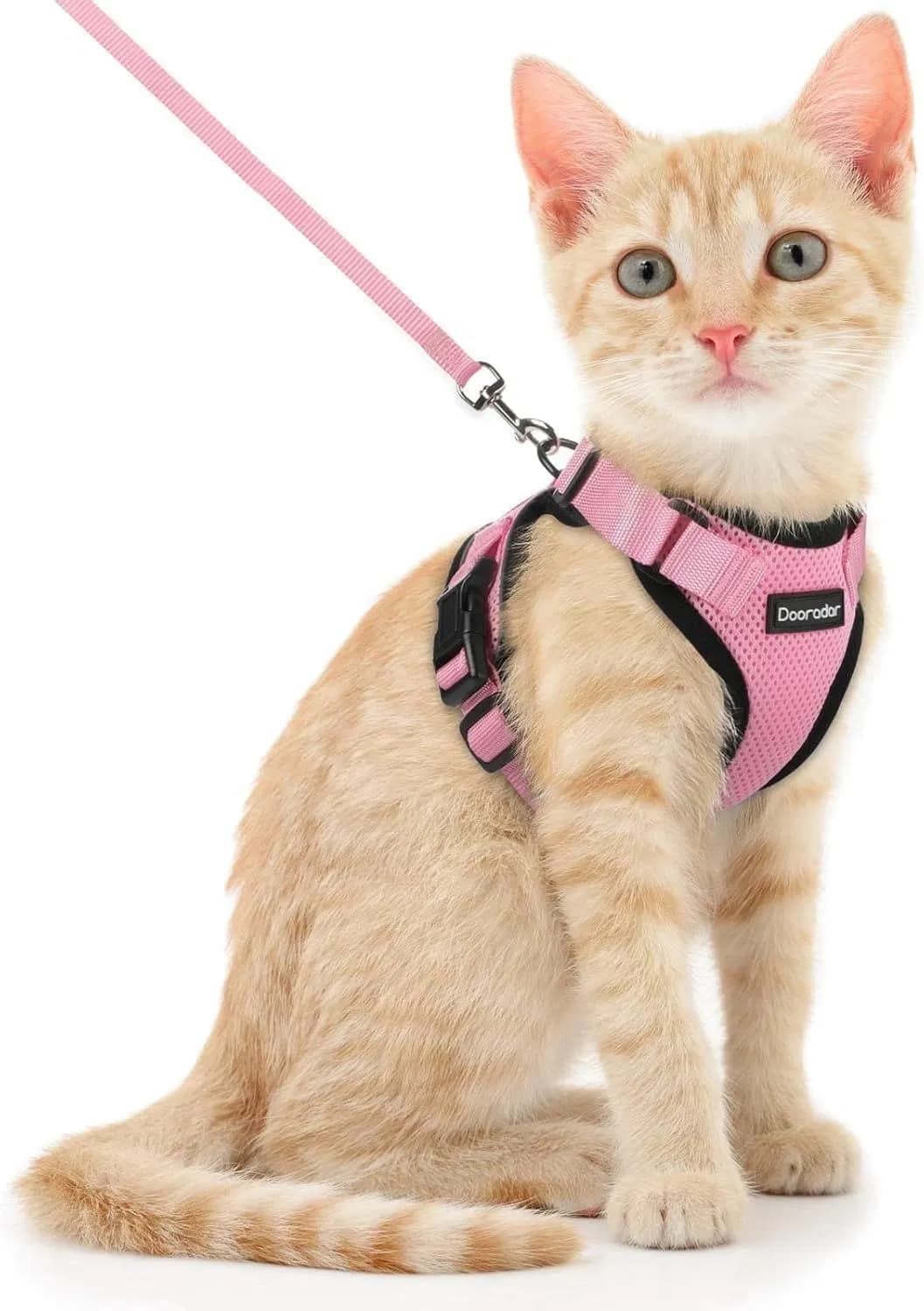 Control Cat Walking Harness with Adjustable Reflective Leash Set