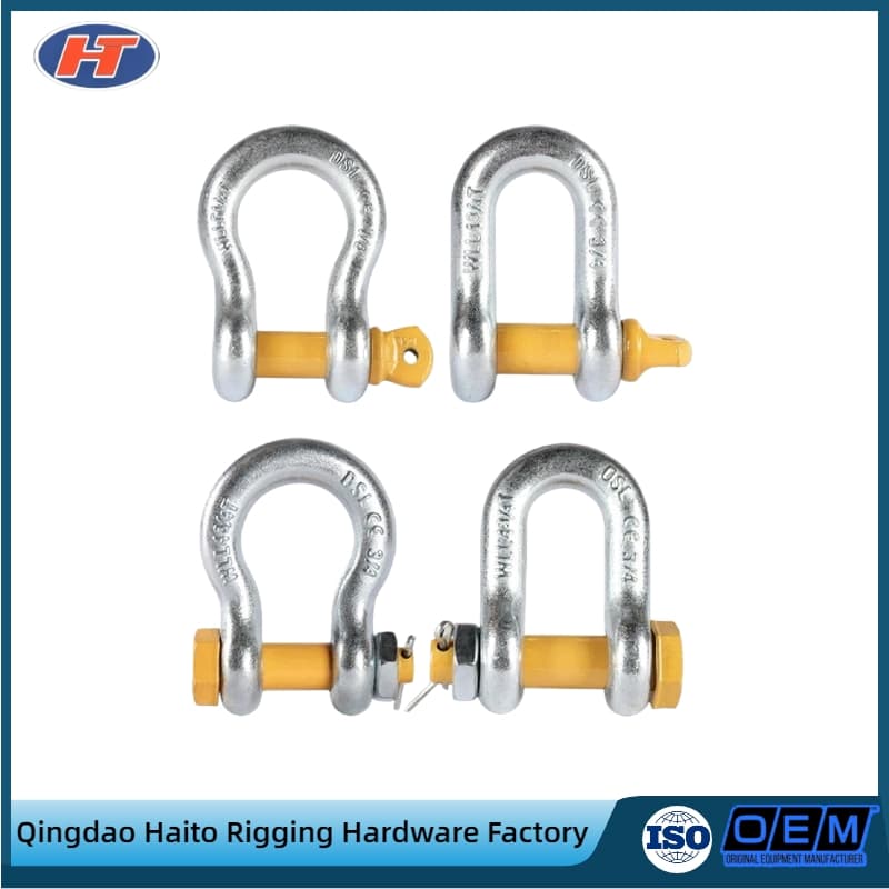 Wholesale D Shackle for Rigging and Lifting Connection Parts