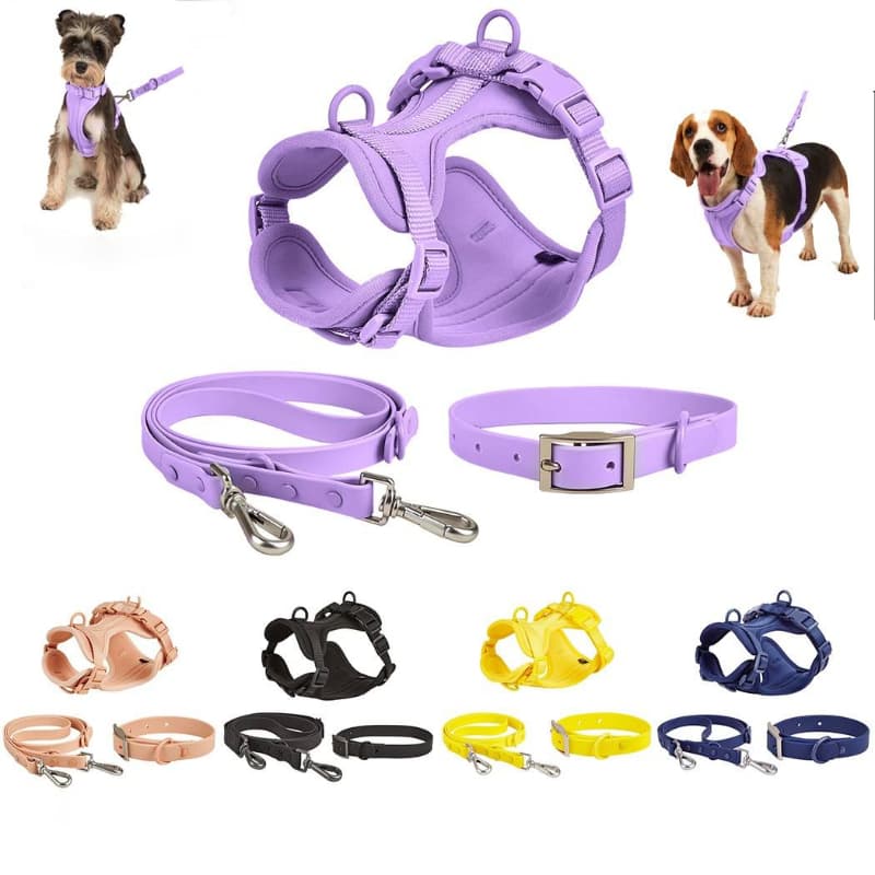 Custom Pet Dog Safety Harness Adjustable Soft Padded Dog Harness Leash Set