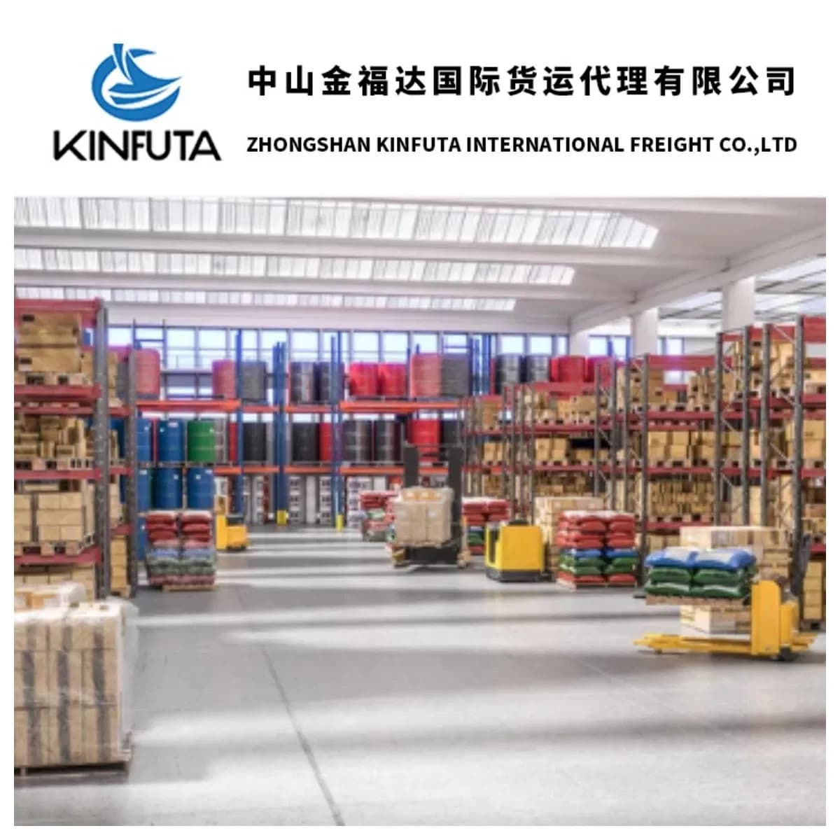 DDP & DDU Shipping From China to USA/Europe/ Germany /France/ Netherlands Customs Clearance Sea/ Air/Train Freight
