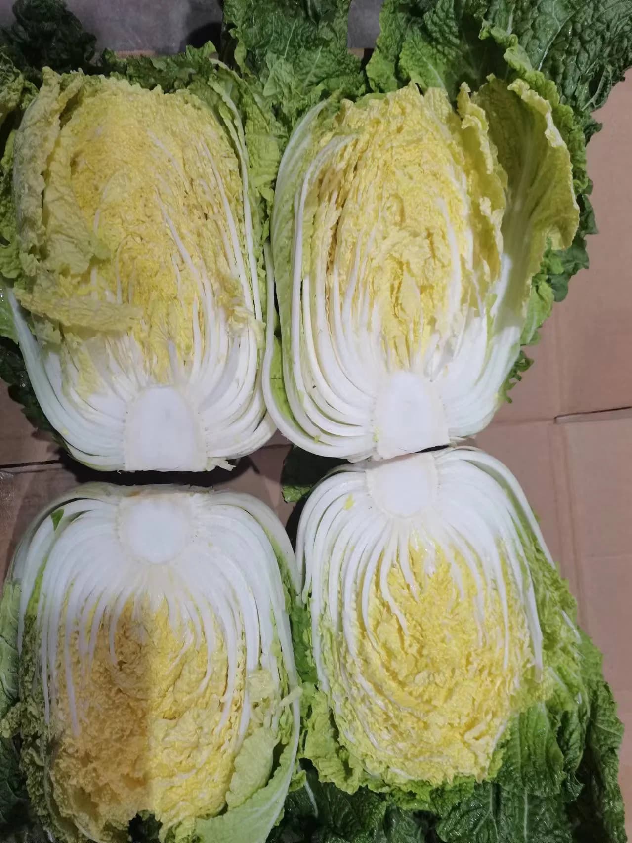 China Origin Cheaper Price Wholesale Fresh Chinese Cabbage New Crop High Quality with Gap Certificate