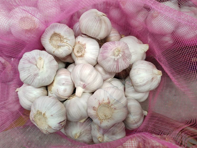 Nice Skin and Big Size Fresh Normal White and Pure White Garlic