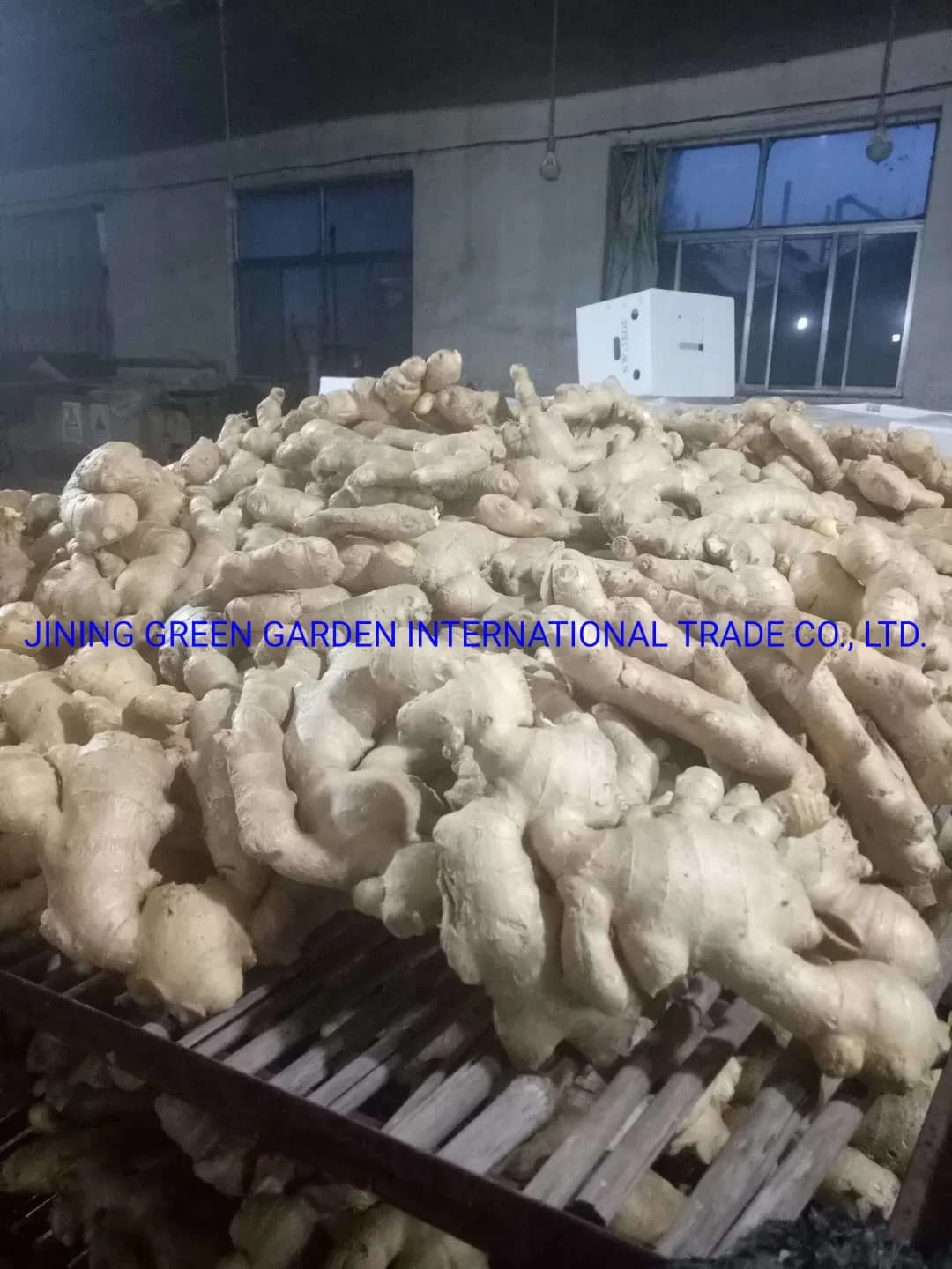 Healthy of Chinese Selected Delicious Organic Yellow Air Dry Ginger, China Air Dried Ginger High Quality Low Price Free Sample