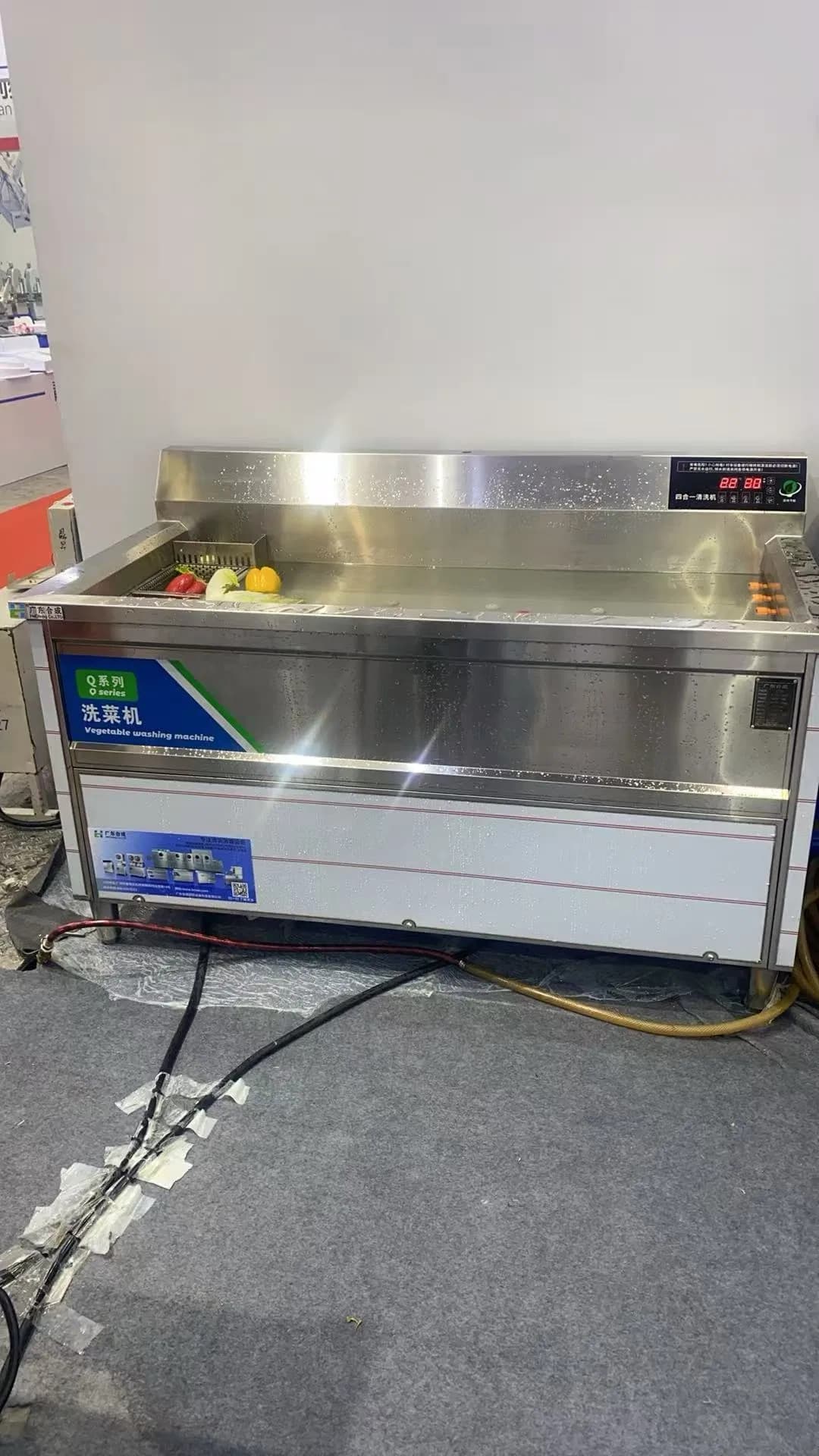 Advanced All-in-One Commercial Vegetable Cleaning and Purifying Machine Xj120