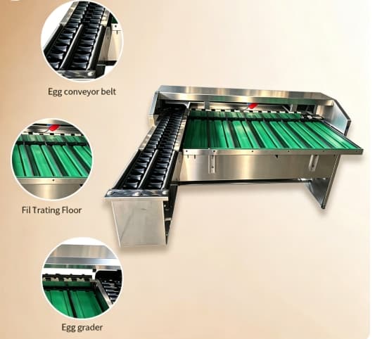 Automatic Egg Grading Machine for Poultry Farm with CE Certification