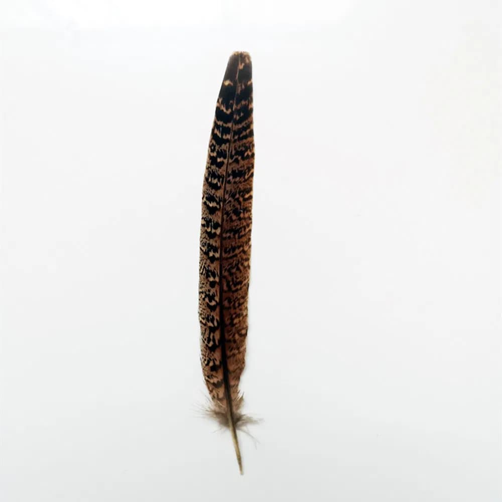 Chicken Tail Feather Pheasant Tail Hair Headdress Feather Costume Feather DIY Feather