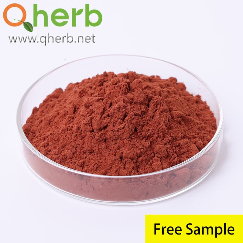 Factory Supply 95% Proanthocyanidin UV Pine Bark Extract Food Additive Pure Ingredients