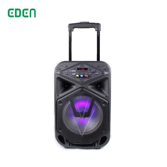 Bluetooth Wireless Speaker with LED Fire 8 Inch Portable PA Party Karaoke Sound Box Rechargeable Multimedia Audio Box with Tws ED-810