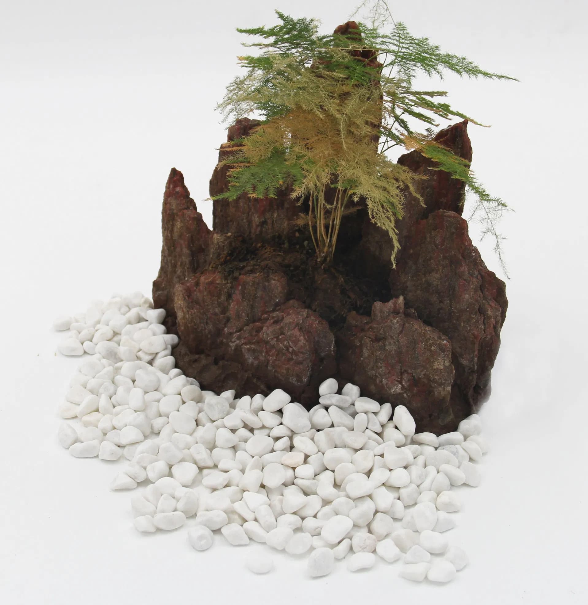 High Quality Natural Stone Landscape White Pebble Stone for Outdoor