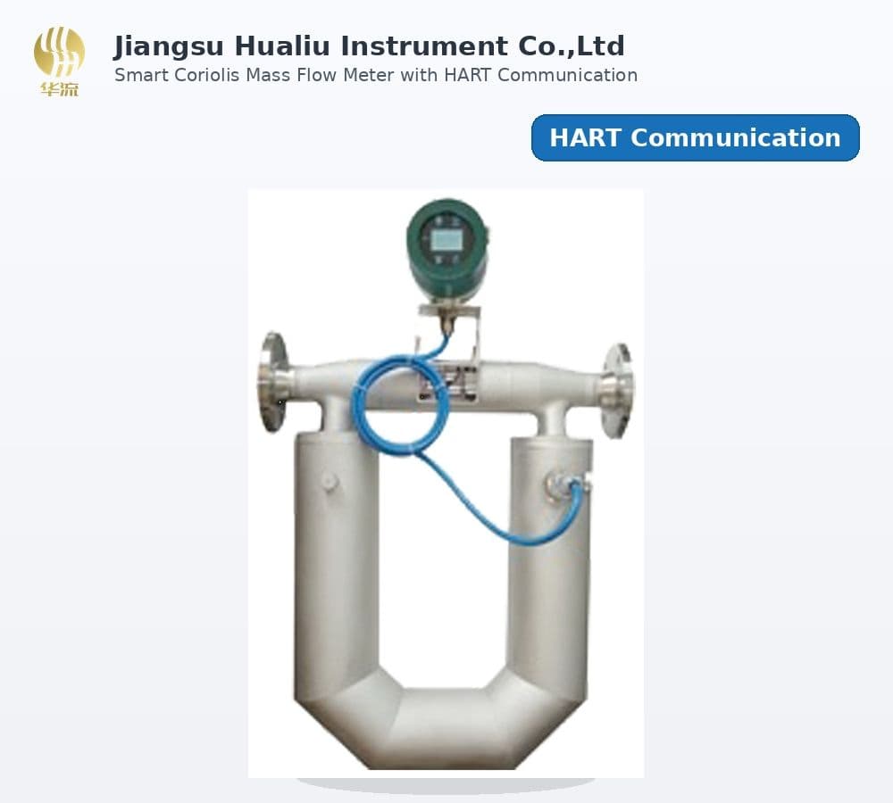 Hot Sale Coriolis Mass Flowmeter for Seawater Reverse Osmosis Pretreatment