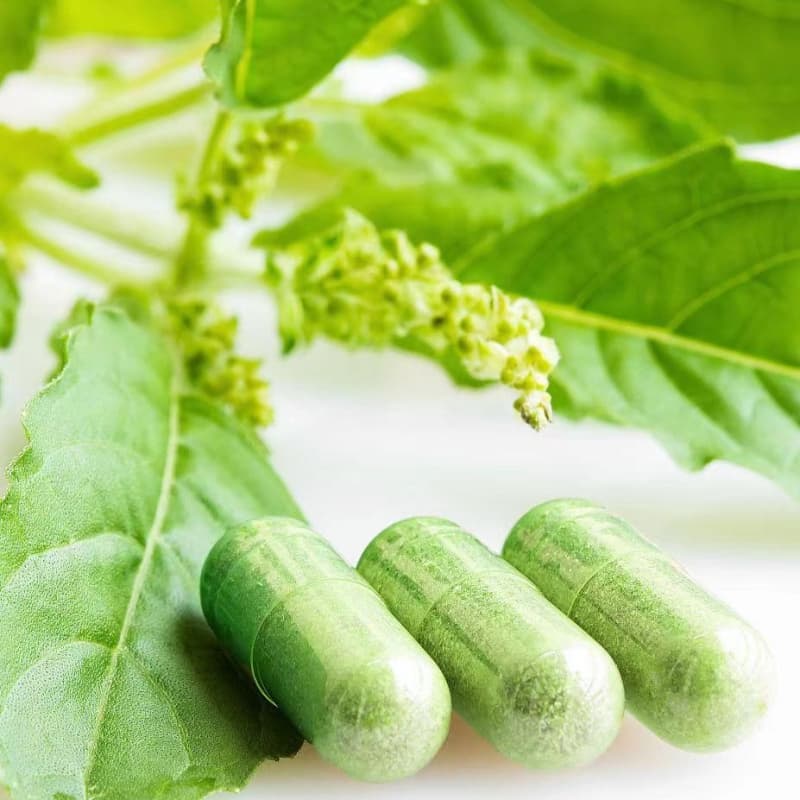 Nature Hallow HPMC Vegetable Vegetarian Vegan Closed/Joined/Separated Capsule