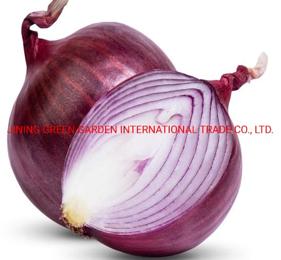 2021 Fresh High Quality 10kg/20kg Mesh Bag Yellow Peeled Onions in Bulk Wholesalers Not From China