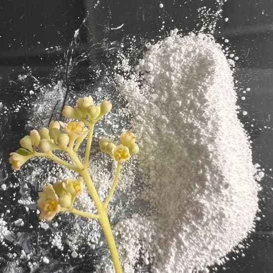 Premium Granule - 1kg From Liaoning China with 325 Mesh MGO