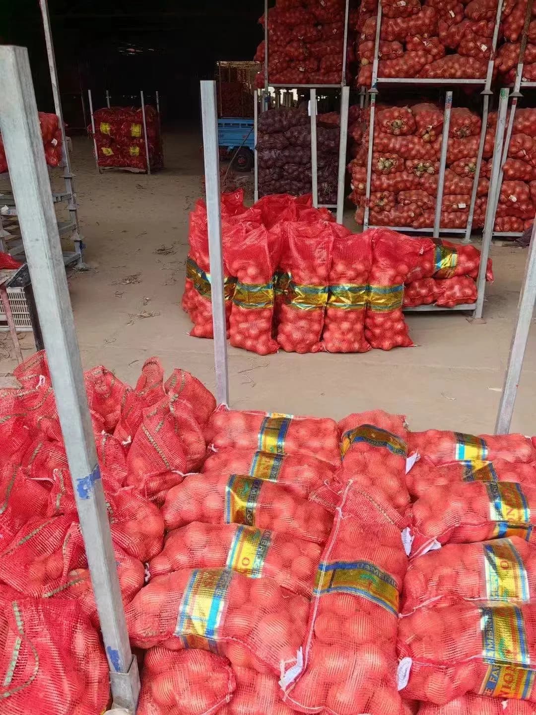 Fresh 5-7cm 7-8cm 6-8cm 8-10cm Yellow/Red Onion Wholesale with Good Price 2024 Newest Crop High Quality Fresh Red Onion Yellow Onion