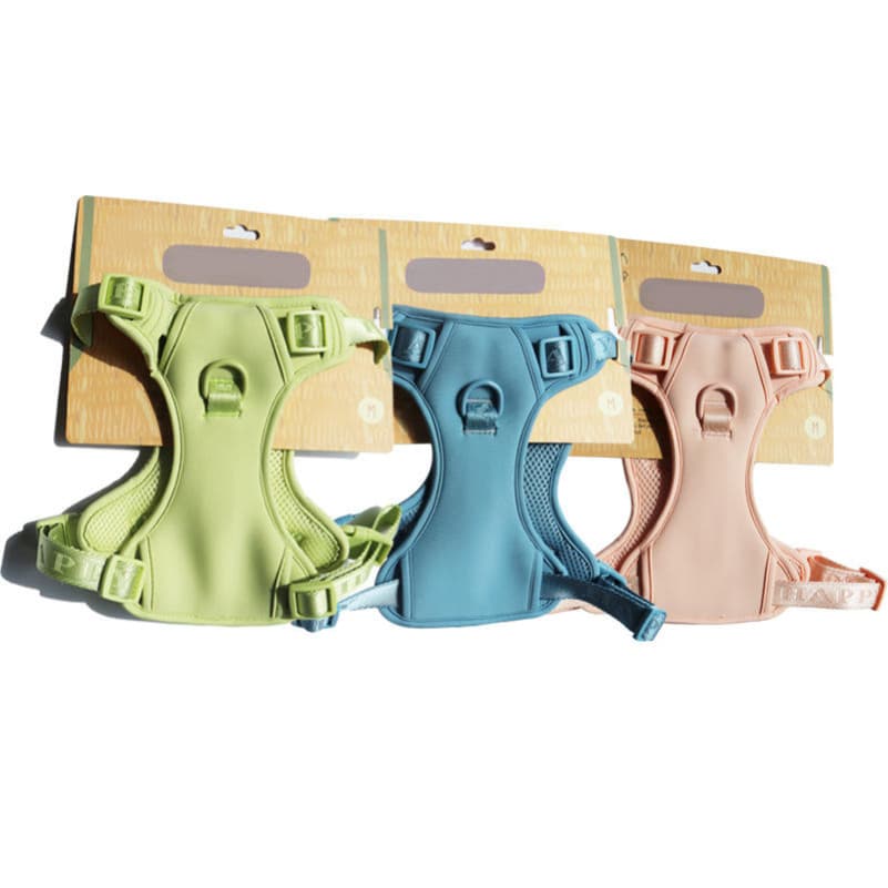 Custom Dog Chest Soft Adjustable Dog Vest Harness Matching Leash Set