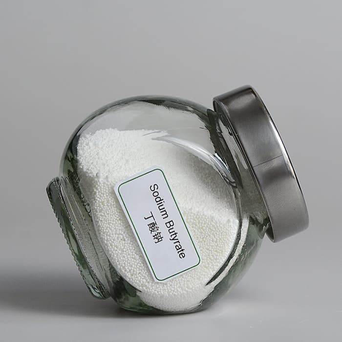 Manufacture Supplier Food Grade 30% 90% Coated Sodium Butyrate Powder