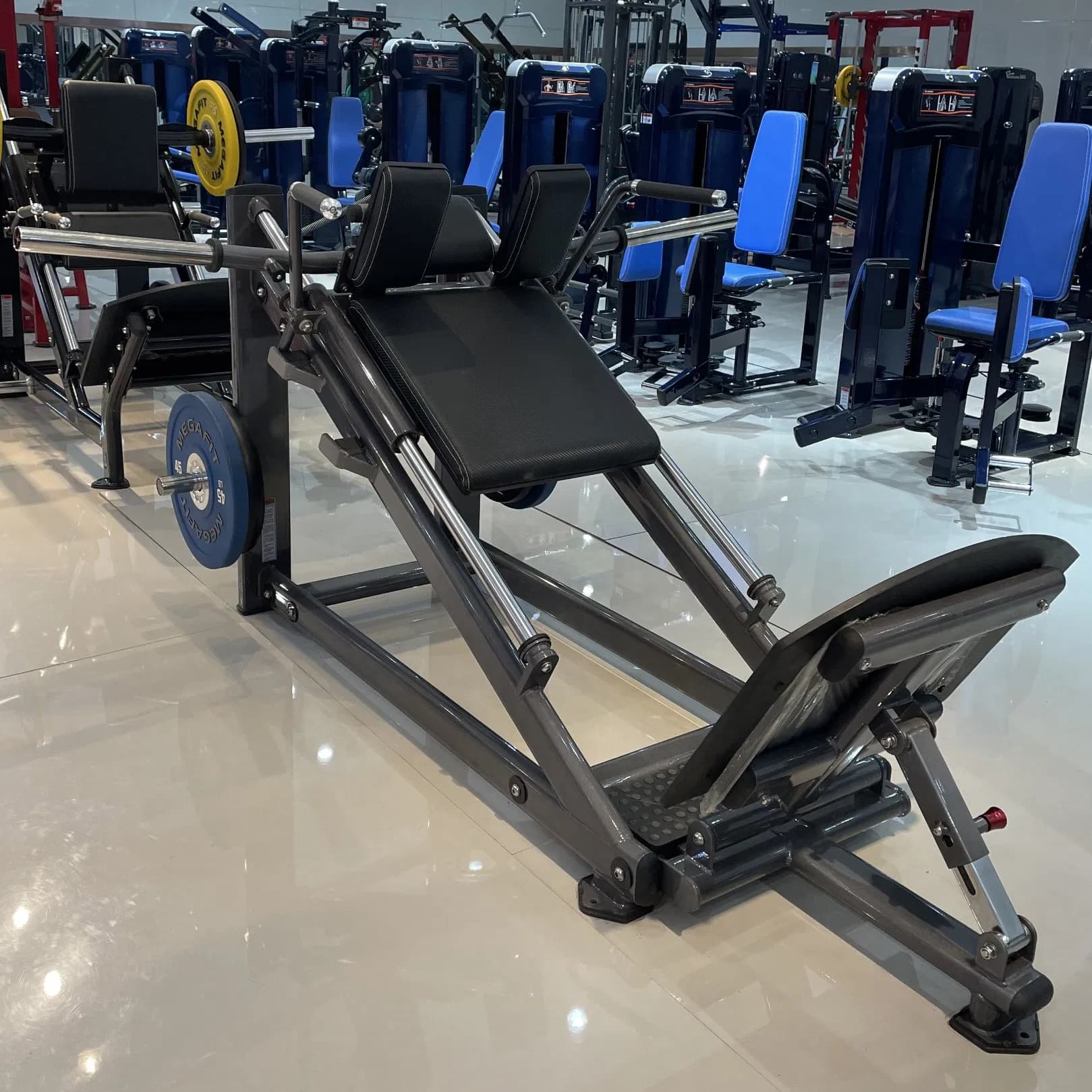 Realleader Commercial Fitness Equipment of Hack Squat