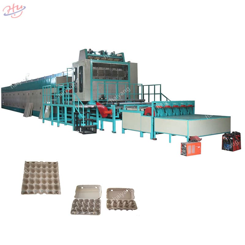 Medium with Drying Function Egg Factory Paper Pulp Tray Machine High Quality