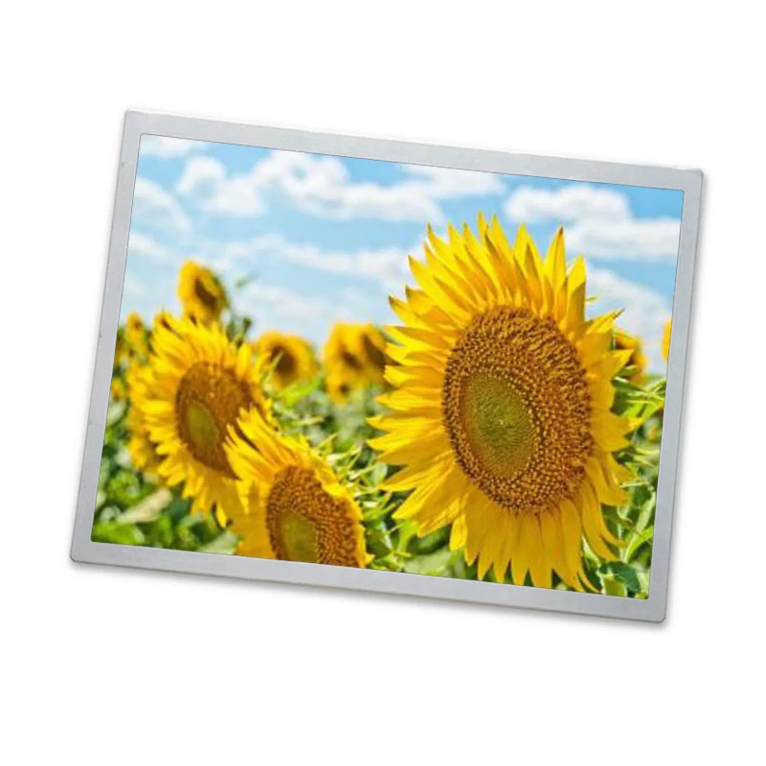 15.0 Inch TM150XDHG01-02 Lcd panel use for Industrial, Outdoor High Brightness