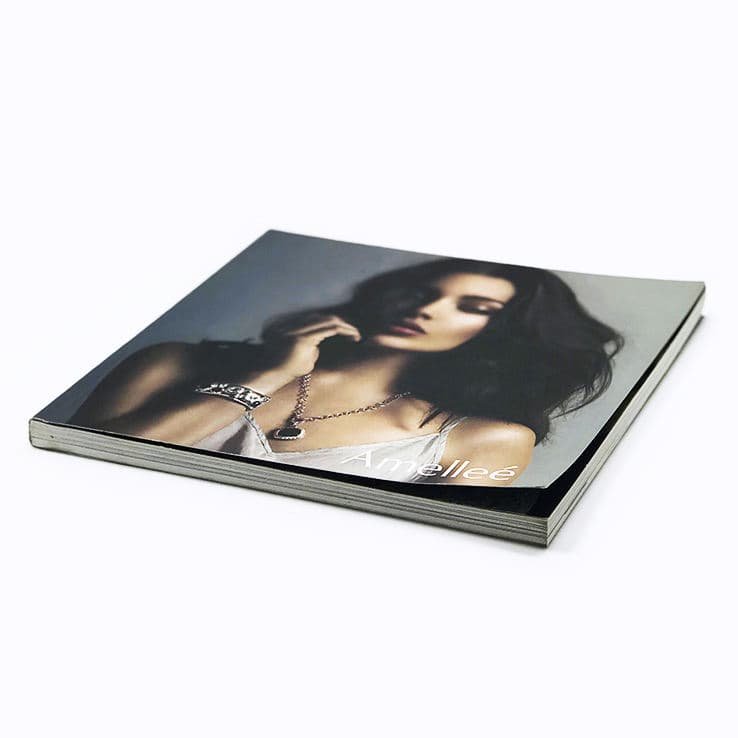 Personalised Flyer Softcover Professional Brochure / Catalog / Magazine Printing Booklet Printing