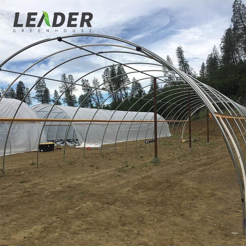 China Low Cost Single-Span Tunnel Greenhouse with PC Sheet