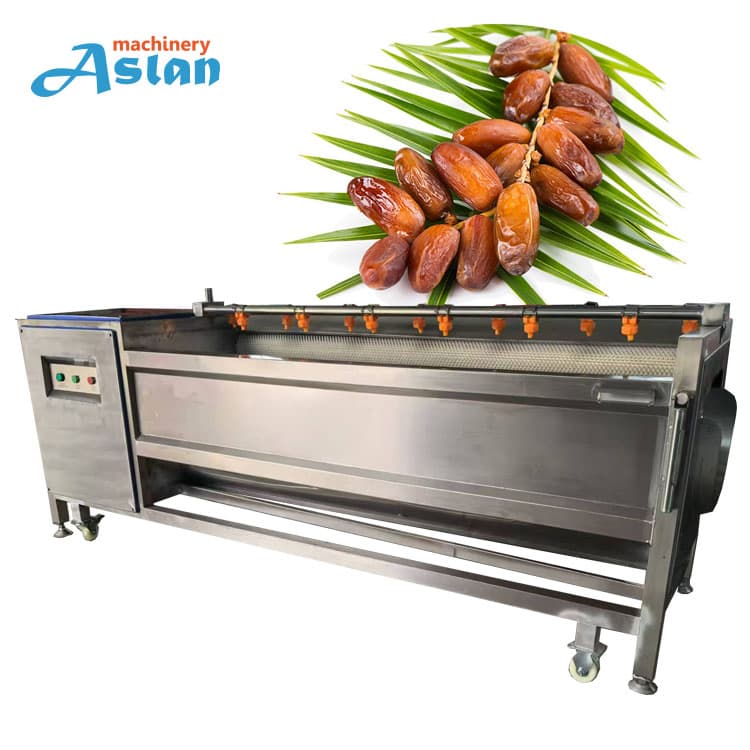 Nice Quality Fresh Dates Cleaning Machine Palm Dates Washing Cleaning Machine Soft Brush Dates Washer Cleaner Machine