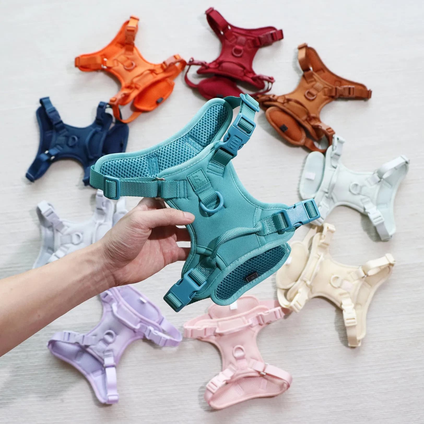Custom Neoprene Dog Harness and Leash Set for Training with No-Pull Design