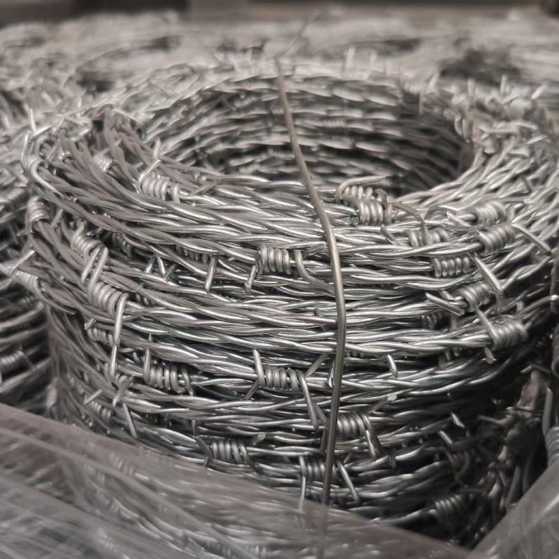 Hot-DIP Zinc Planting Barbed Wire Used in Detention Houses and Government Buildings