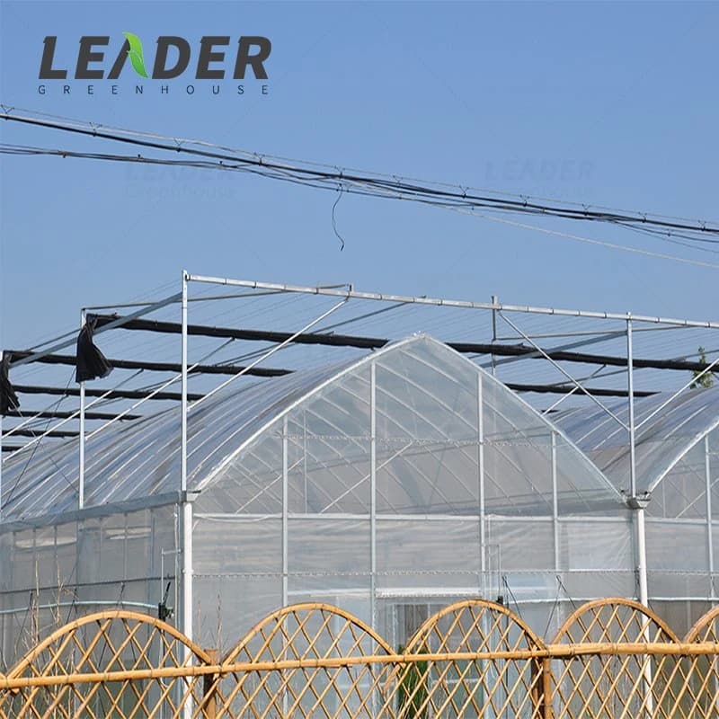 Hot Sale Solar Agricultural Greenhouse Structure Plastic Film Multi-Span Greenhouse