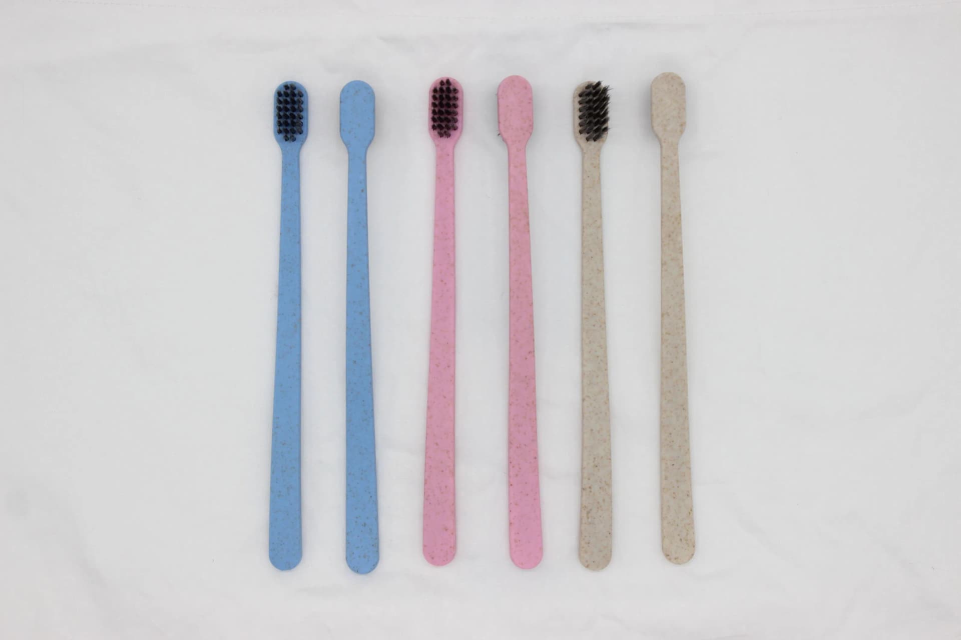 Premium Light Blue Wholesale Toothbrush for Retail Distribution