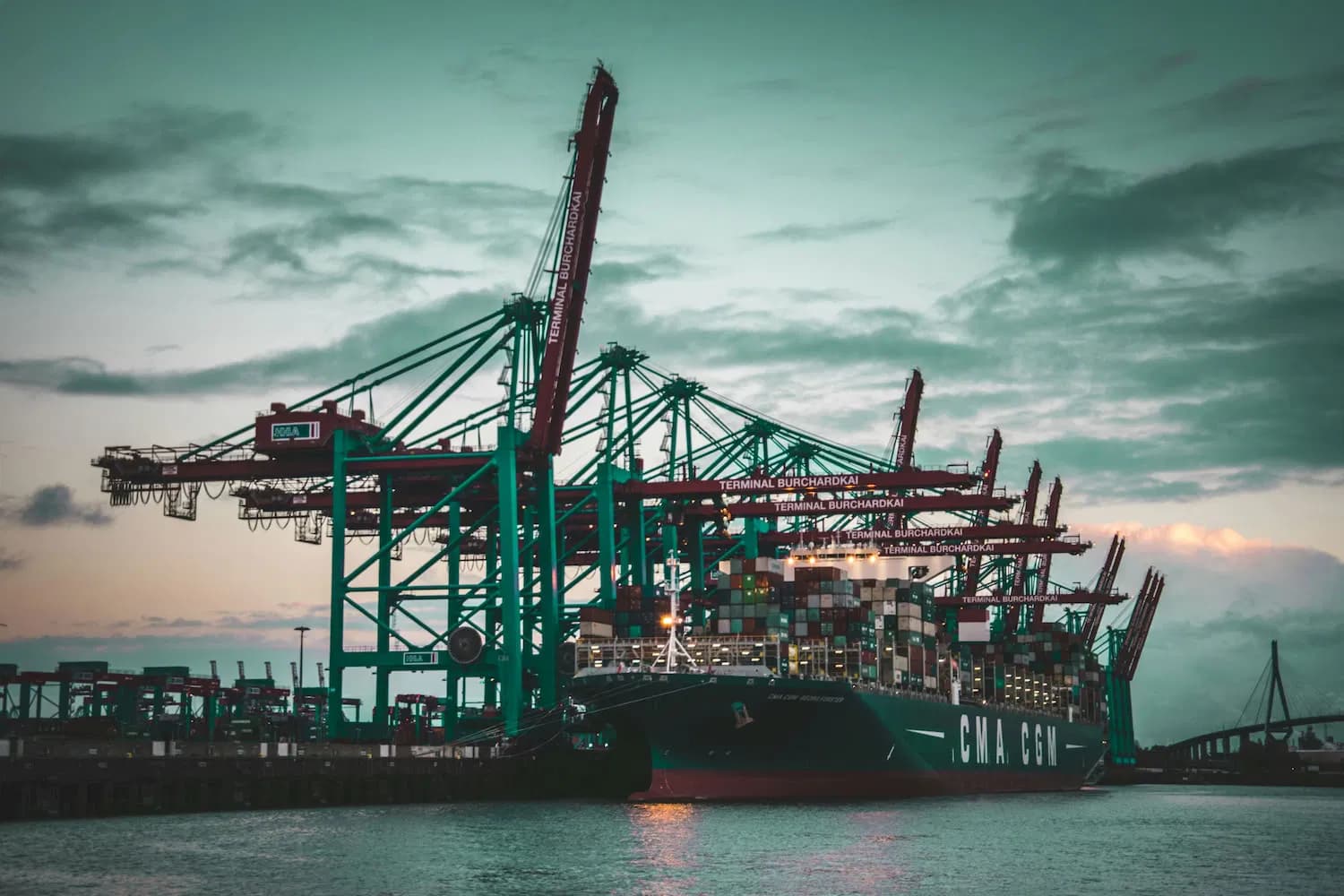 Lower Risk, Higher Efficiency - Professional DDP Sea Freight