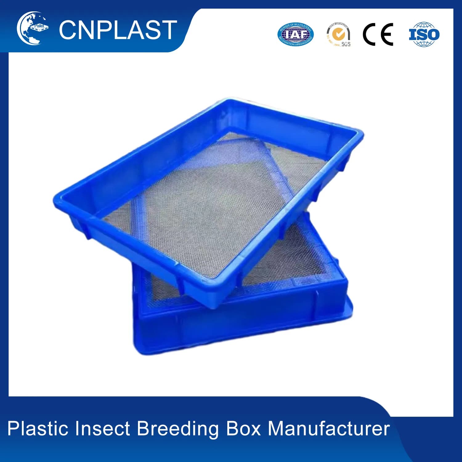 Customized Blue PP Four Corners Bsf Mealworm Stackable Plastic Insect Breeding Box for Bsf Reptile Farming Larvae Maggot
