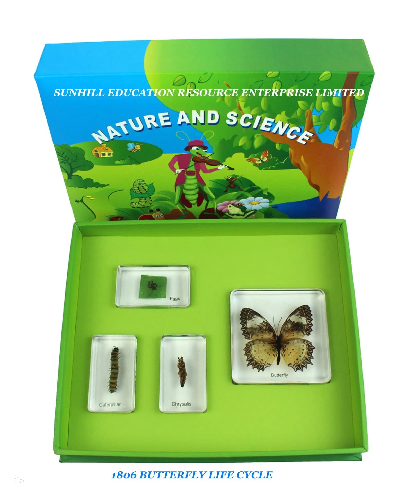 Nursery School Educationa Science Learning Toy, Kids Science Classroom and Educational Teaching Specimen for Kindergarten and Preschool, Children Toy