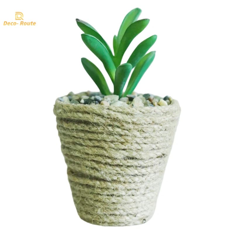 Modern Lightweight Cement Potted with Drainage Hole for Succulent Garden