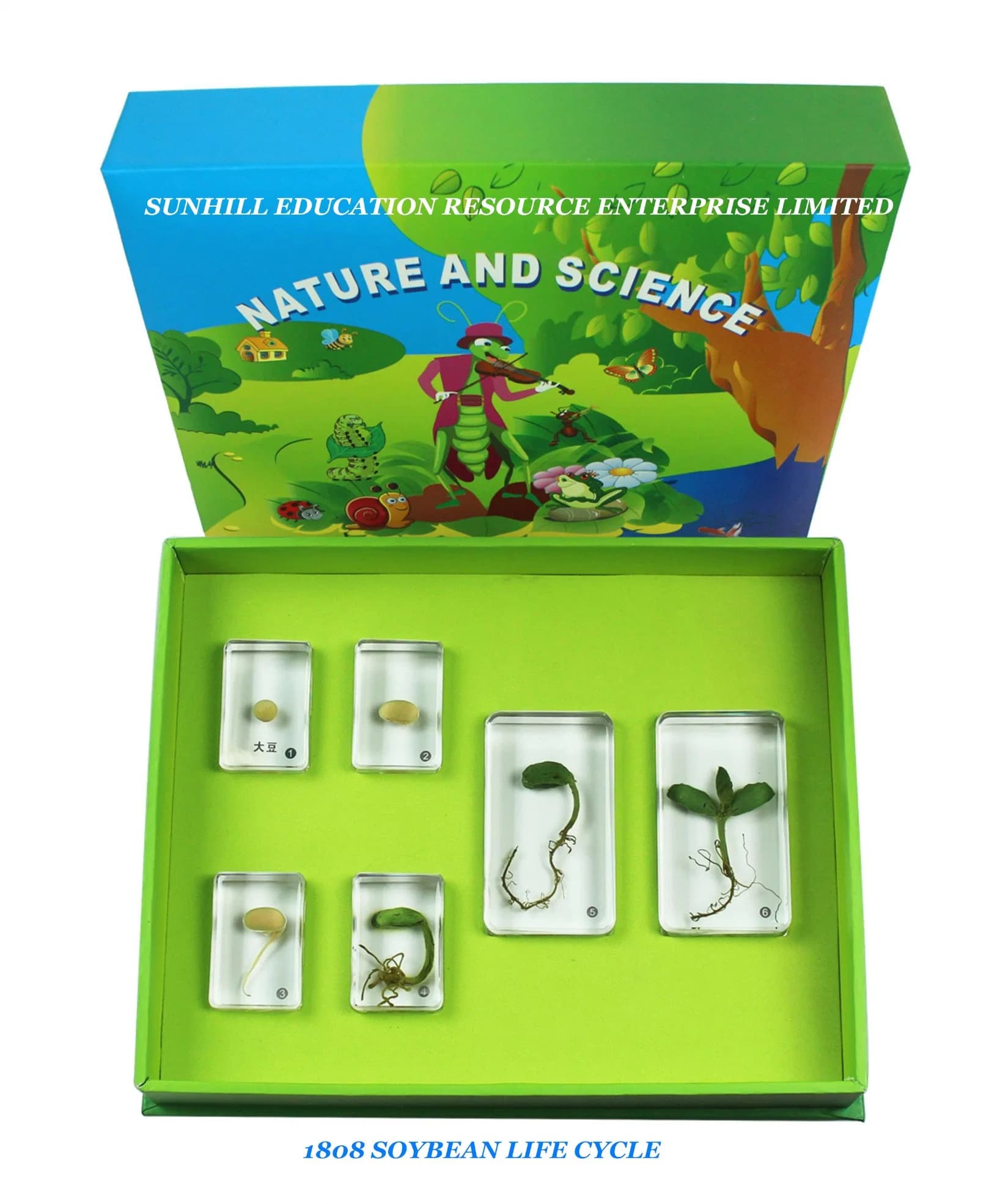Educationa Science Learning Toy, Kindergarten and Preschool, Children Toy