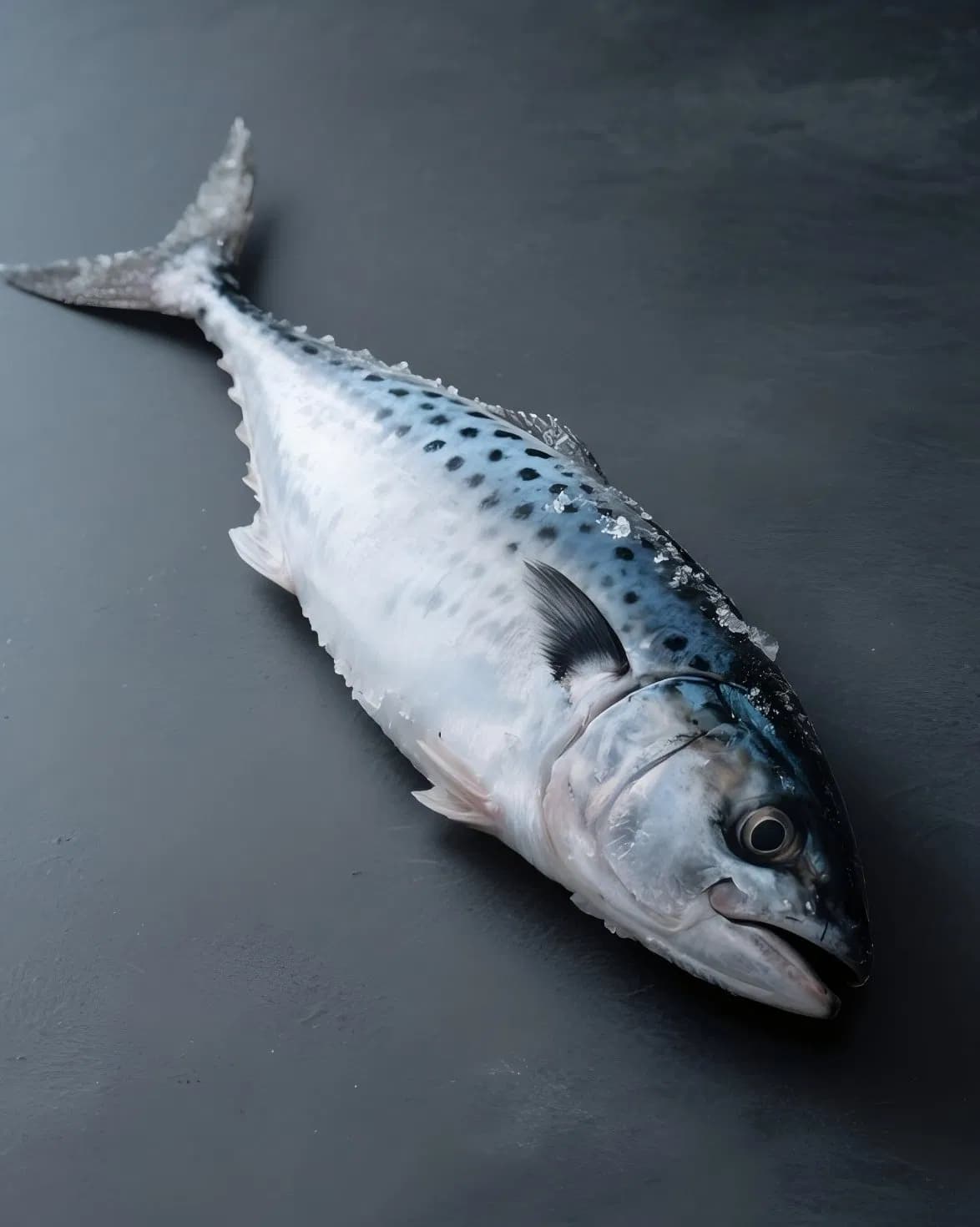 Delicious Frozen Whole Mackerel, Sea-Caught, Flash-Frozen, Perfect for Roasting and Family Gatherings