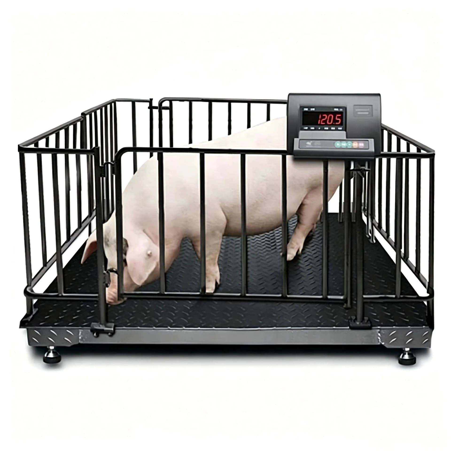 Factory Outlets Electronic Weighing Livestock Scale for Animal Weighing