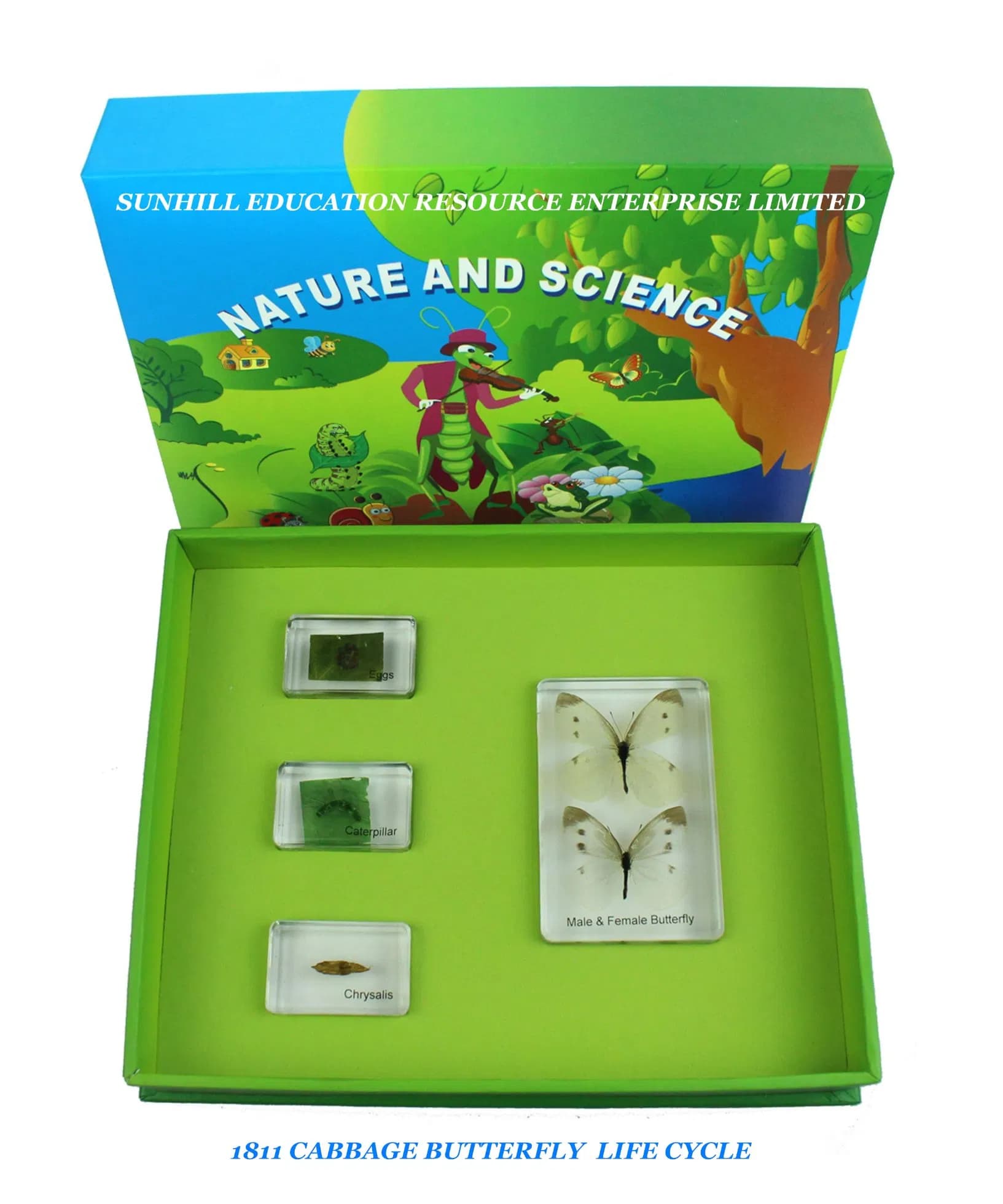 Kids Classroom Pecimen for Kindergarten and Preschool, Children Toy, Nursery School Educationa Science Learning Toy