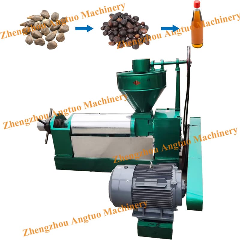 Industrial Screw Palm Kernel Oil Press Peanut Sesame Coconut Olive Oil Expeller