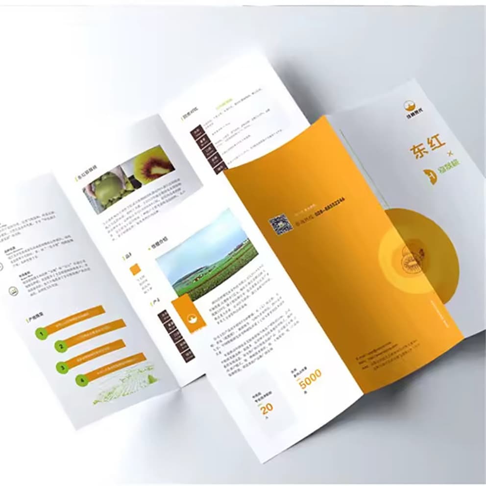 Custom Brochure Printing Pamphlet Business Leaflets Printer Flyers