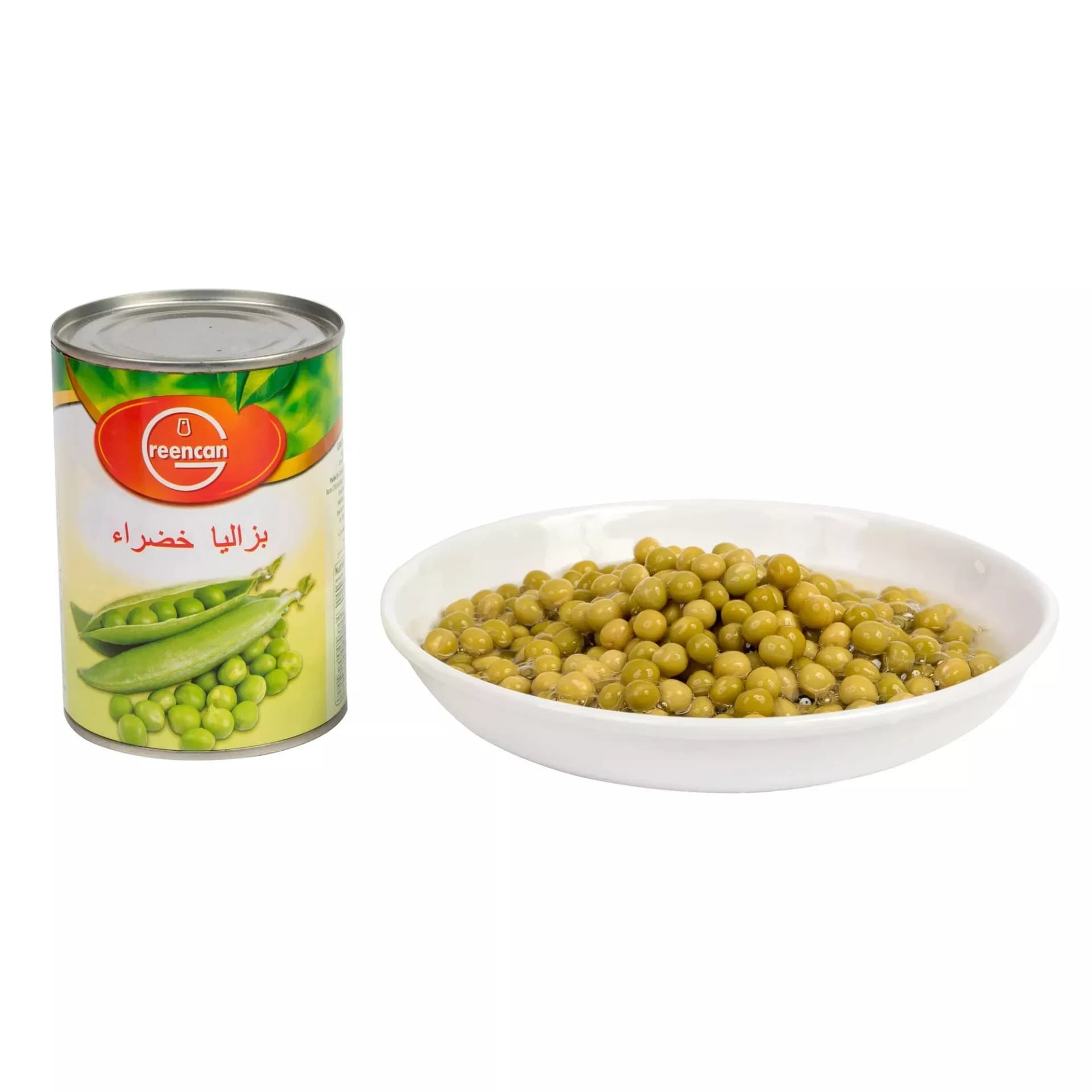 Hot Selling Vegetable Food Canned Beans in Water Canning Green Beans