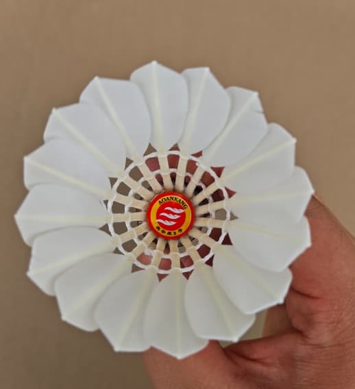 Aeroplane Eg1130 High Quality Feather Badminton Shuttlecock Pack of 12