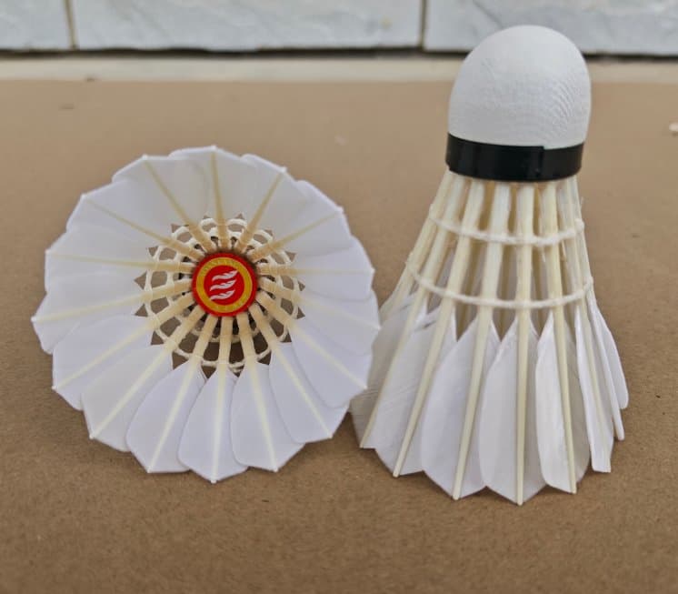 Aeroplane Eg1130 Quality Feather Badminton Shuttlecock