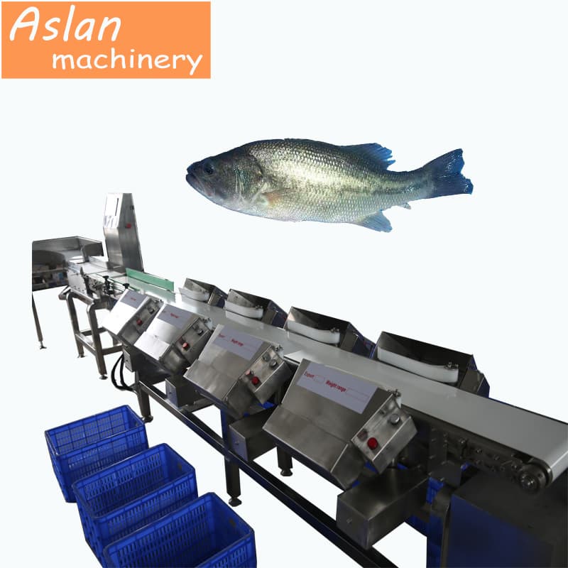 Belt Type Chicken Parts Seafood Weigh Sorter Machine